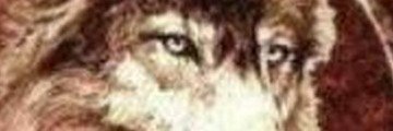 kemalefe2101's profile banner image