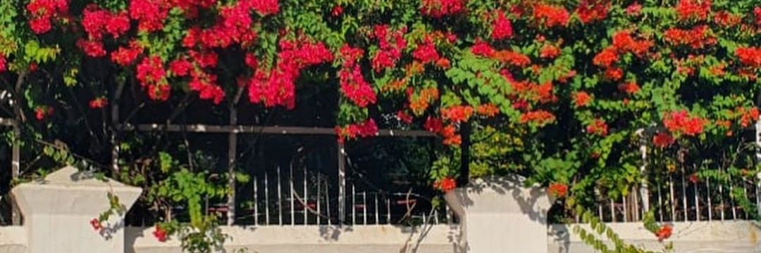 archpaintshere's profile banner image