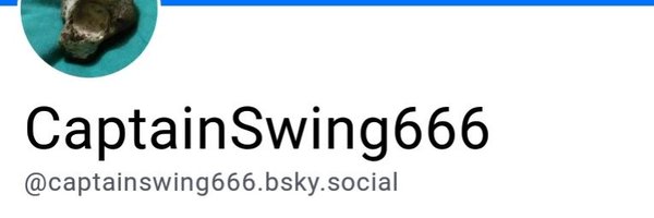 CaptainSwing666 🇪🇺 🌈 Rejoiner and proud of it. Profile Banner