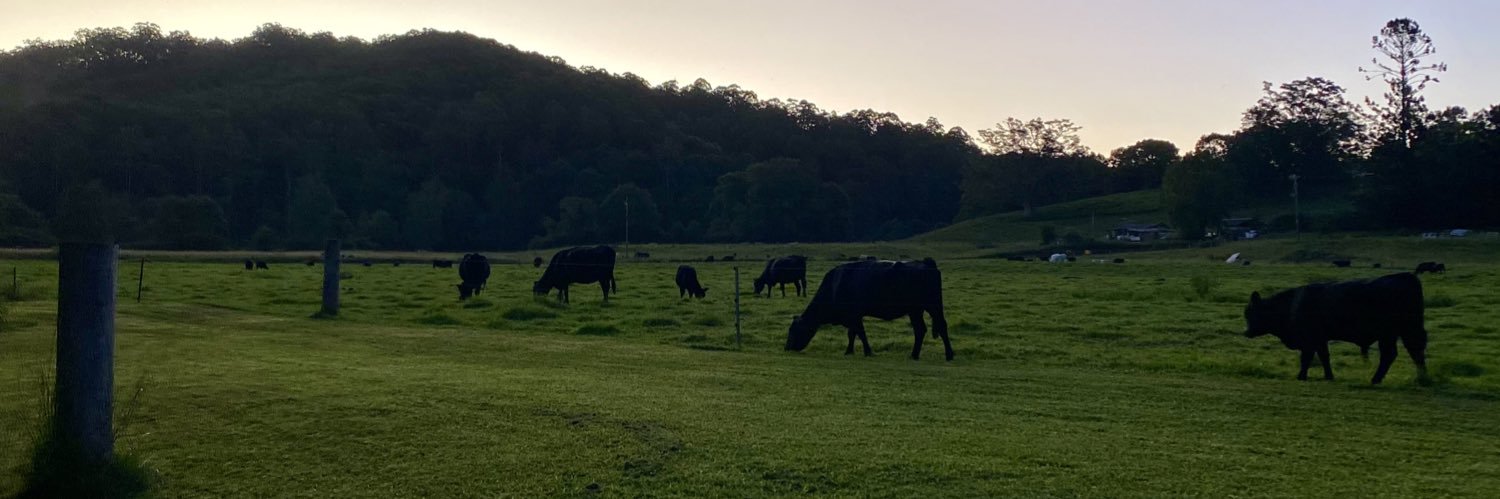 Tara Dimopoulos-Bick banner