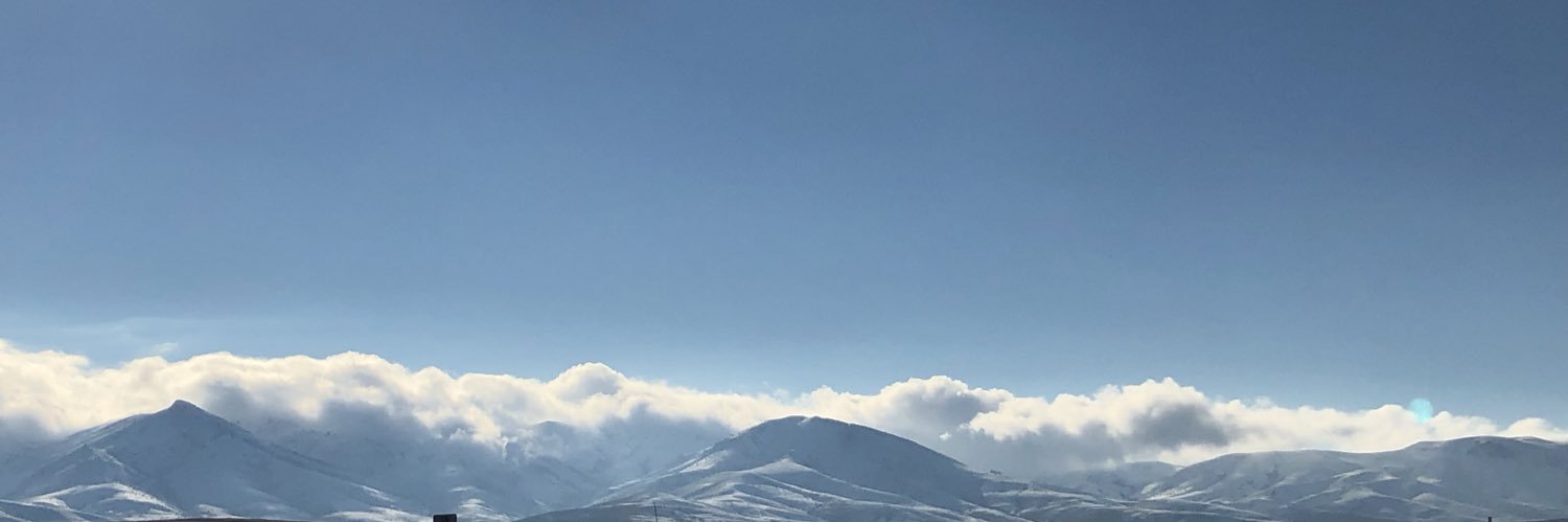altneliff's profile banner image