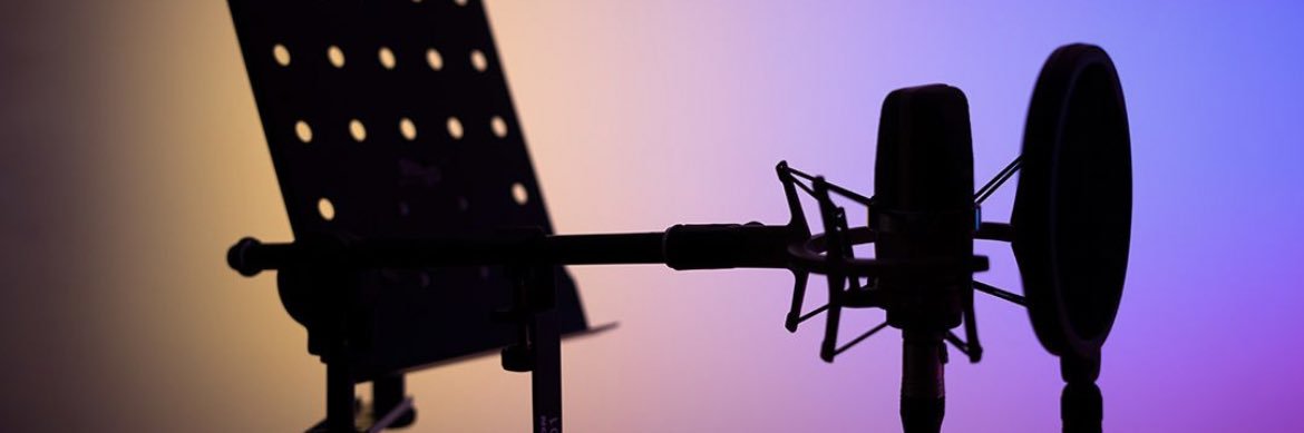 WELLMAN 🎙 Locutor banner