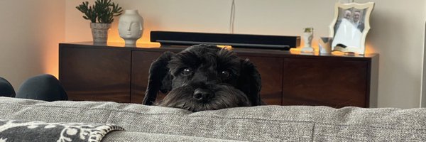 tomdixon Profile Banner