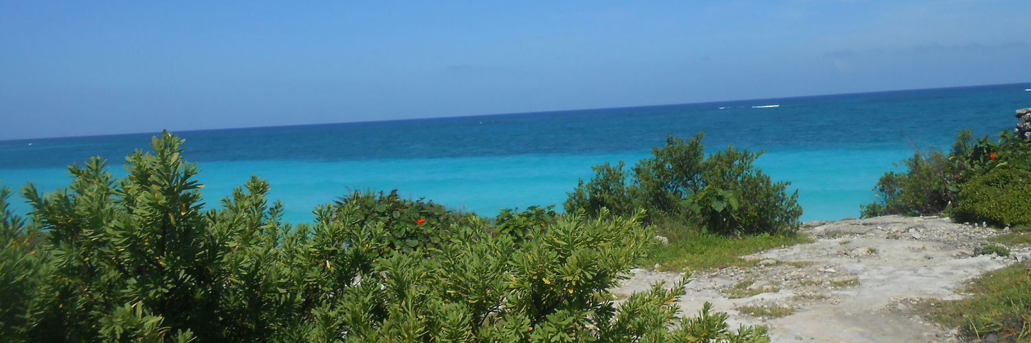 enerirecocla's profile banner image
