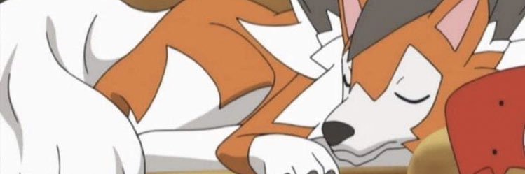 Wolfy 🐺🐾❤️ banner