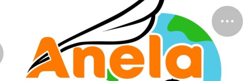anela banner
