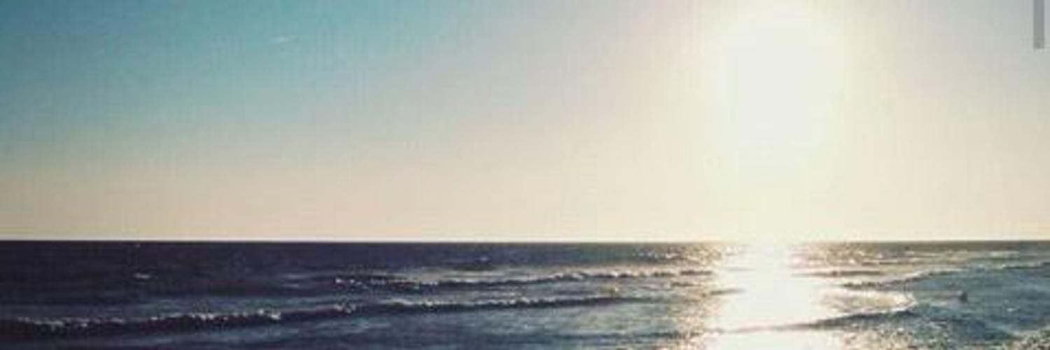 pulgi_98's profile banner image