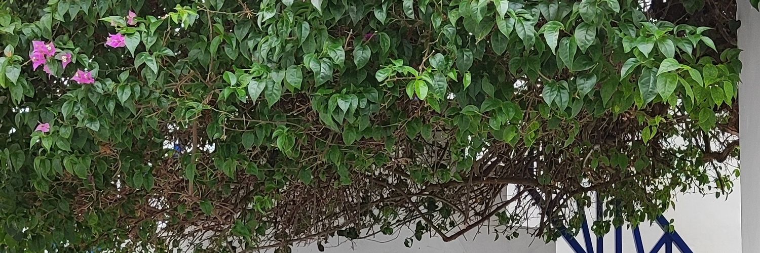 phukisin's profile banner image