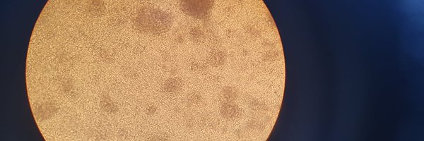 damato_v Profile Banner