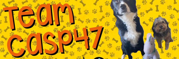 TeamCasp47 Profile Banner