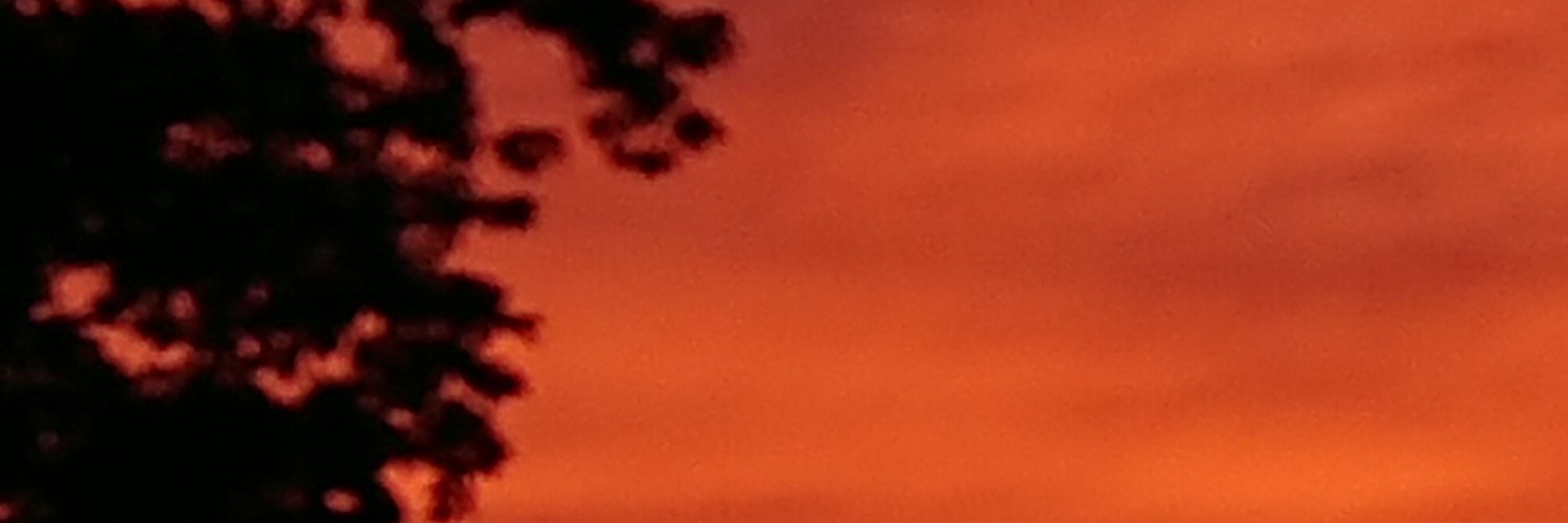 tayl8kr's profile banner image