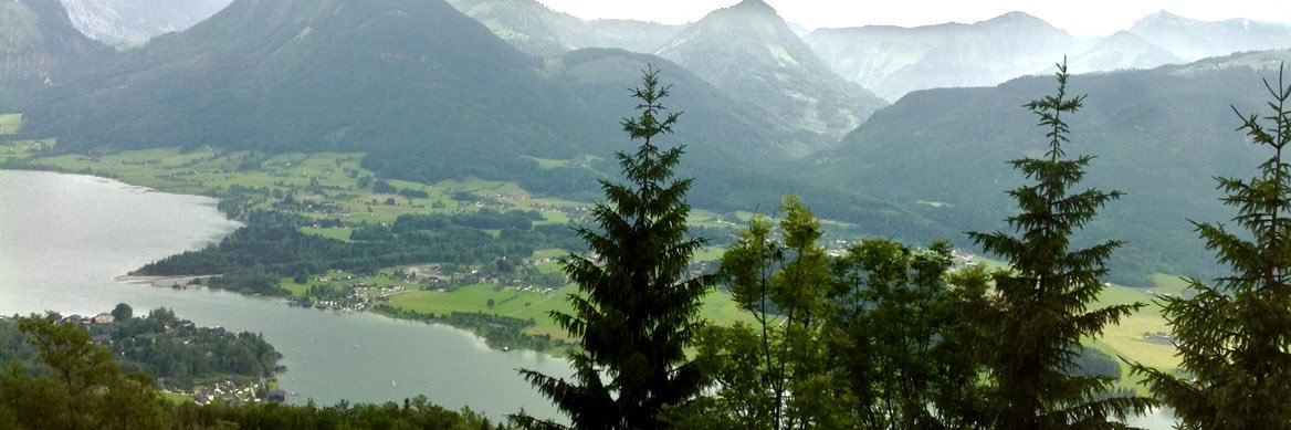 waref2244's profile banner image