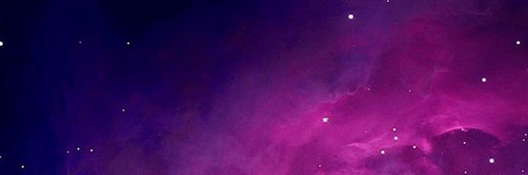 LaBellaVidaInk's profile banner image