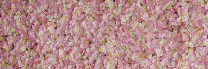 ShopSoBADD banner