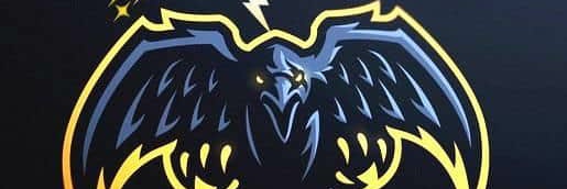 ☢Condors Shadows☢ banner