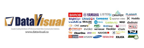 datavisualinc Profile Banner