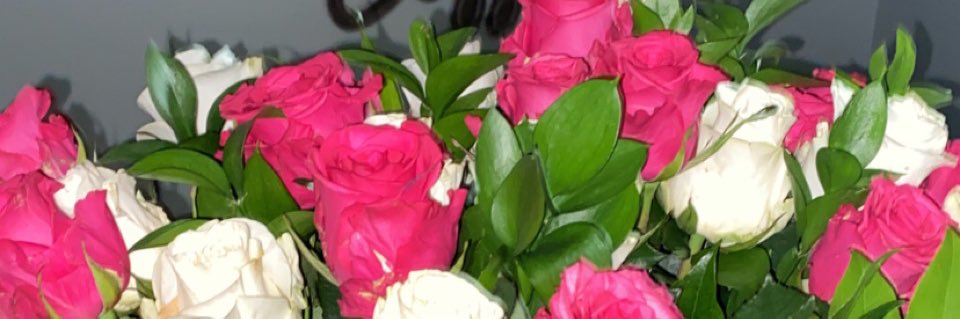 Steph_uhknee's profile banner image