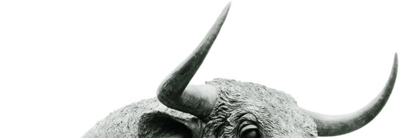 BullCalls's profile banner image