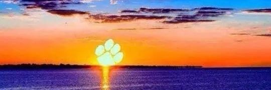 CoachPharez's profile banner image