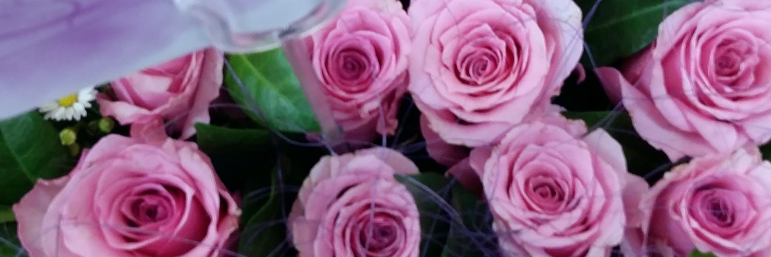 hawa_patel's profile banner image