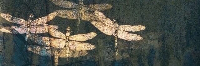 blinky banner