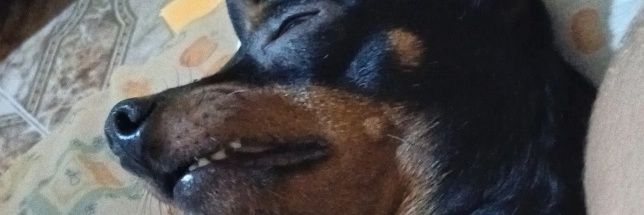 mto_cansada's profile banner image