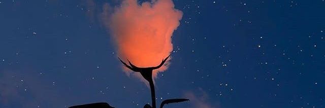 KittyRose2's profile banner image