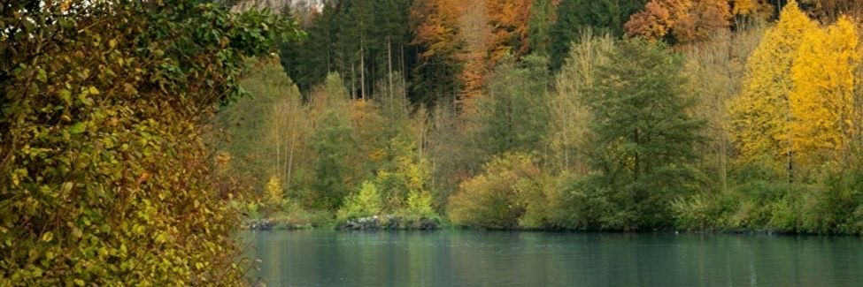 Brenda67725's profile banner image