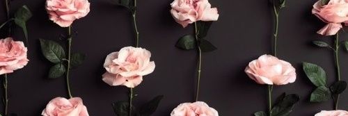 _Beatriti's profile banner image