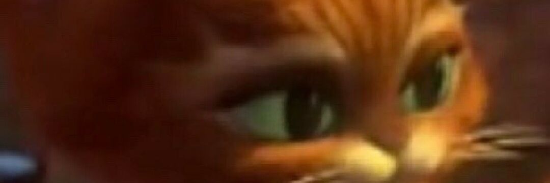 Tom H banner