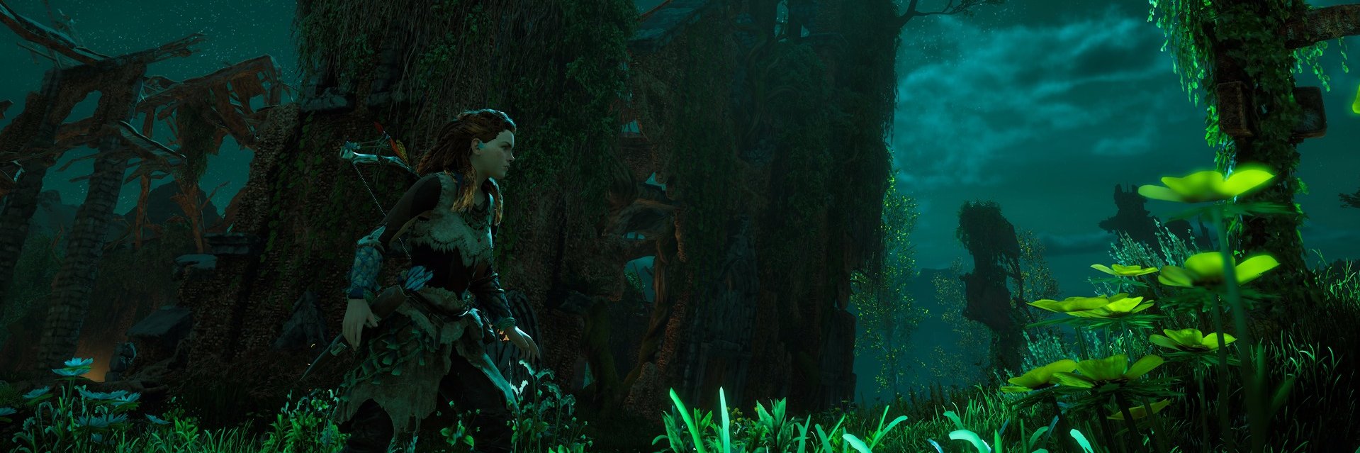 Nikos 🇨🇦 🇫🇷 🇺🇦 banner