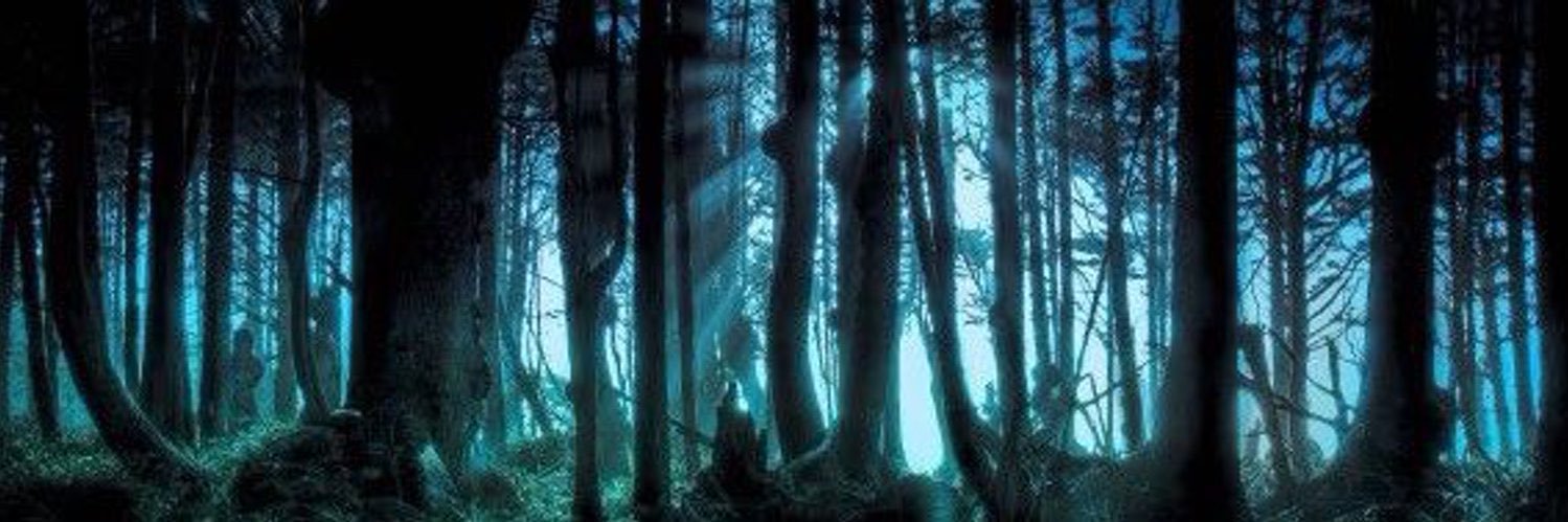 Taylor 🐺Licántropo🐺 banner