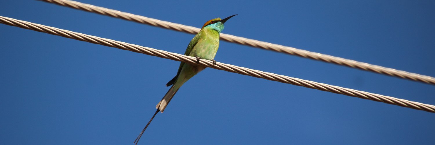 LakeEcosystem banner