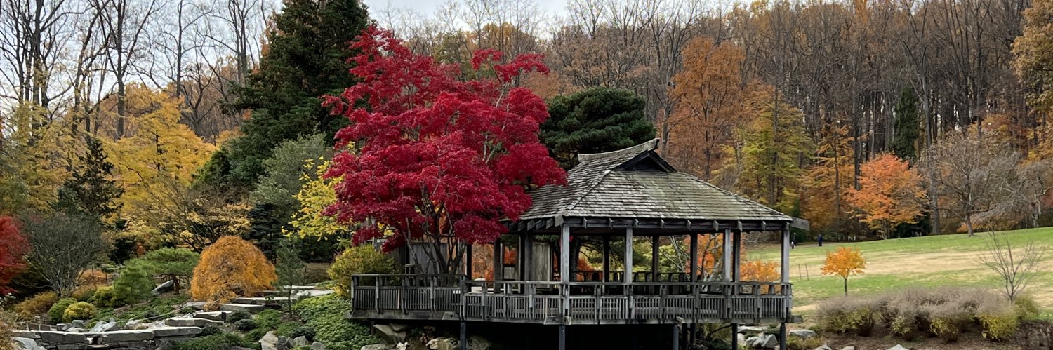 Christian Alvarez banner