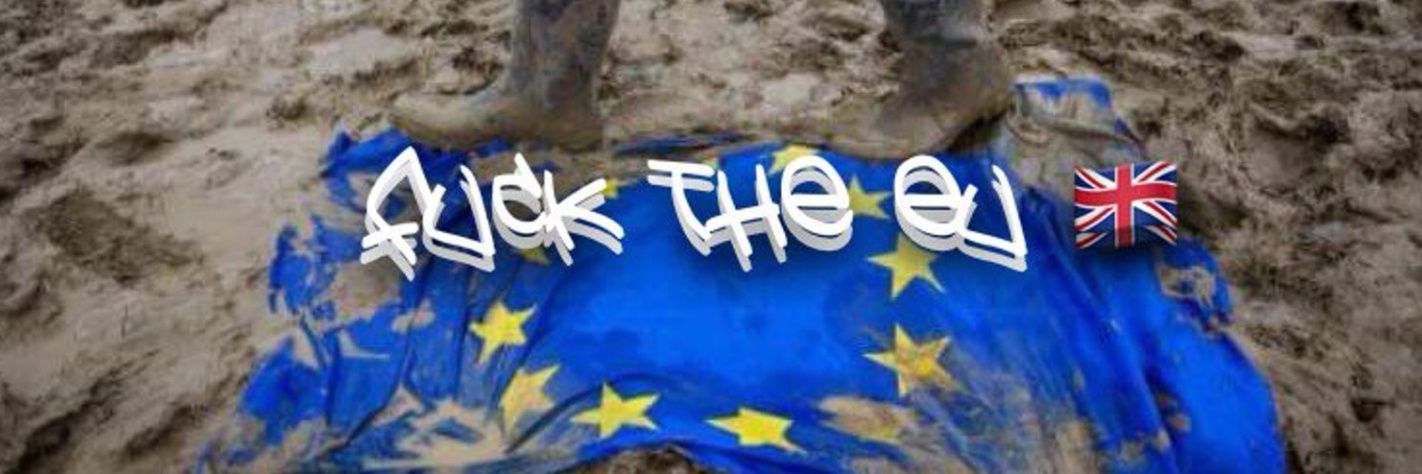 Li Xao Long 🇬🇧🇺🇸🇮🇱🇭🇲's banner