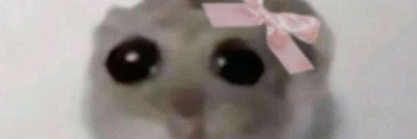 maddyobri Profile Banner