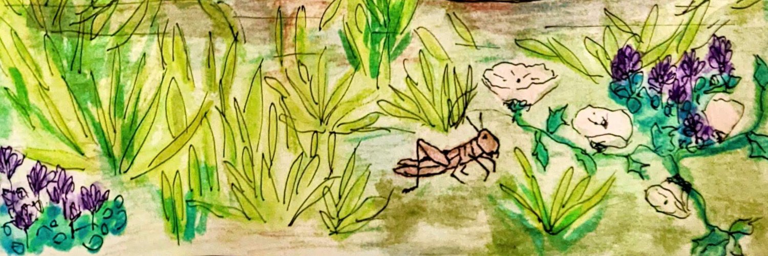 themossycryptid's profile banner image