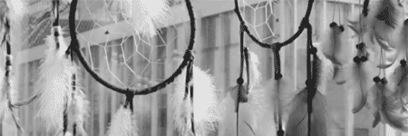 alee_sdd's profile banner image