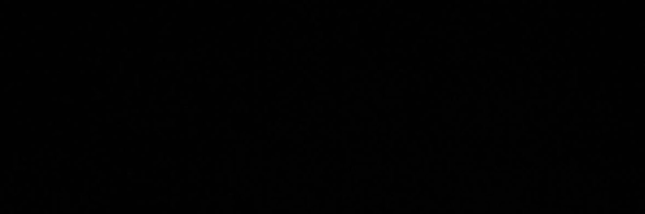 RENAISSANCE ☀️ 𐚁 banner