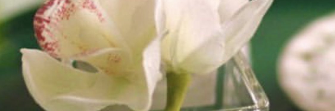 Retellaaa's profile banner image