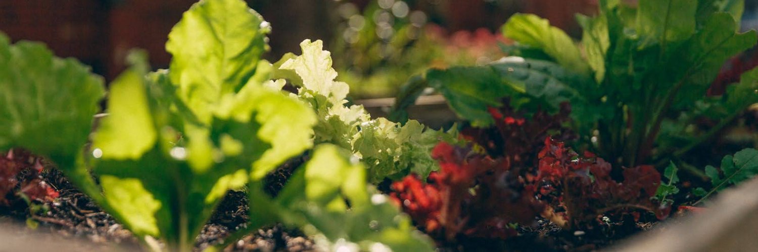 Penarth Growing Community banner