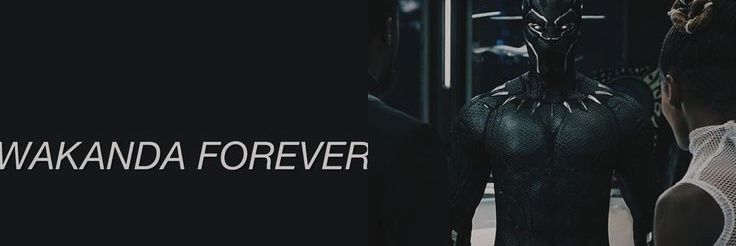 Panther (Sv.3D) banner