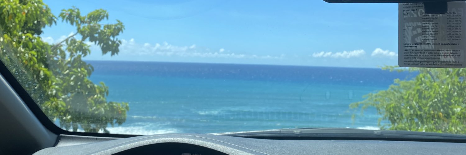 pickledrayna's profile banner image