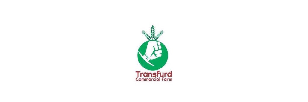 transfurdltd's profile banner image