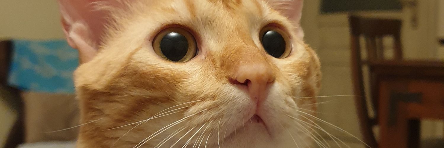 Asefuz007's profile banner image