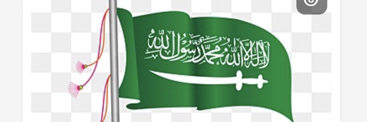 ssara_Altamimi's profile banner image