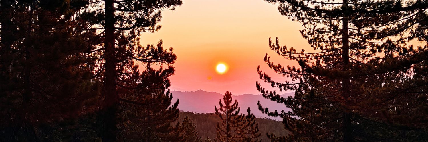 REvliyaoglu's profile banner image