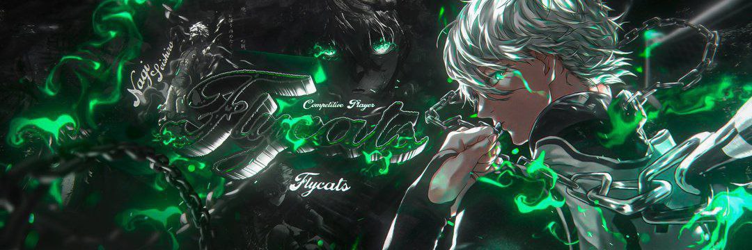 flycats2k's profile banner image