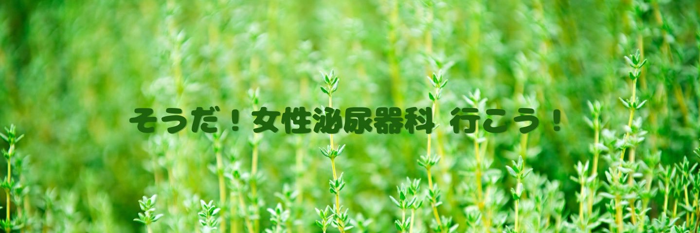 二宮典子【女性泌尿器科医】 banner