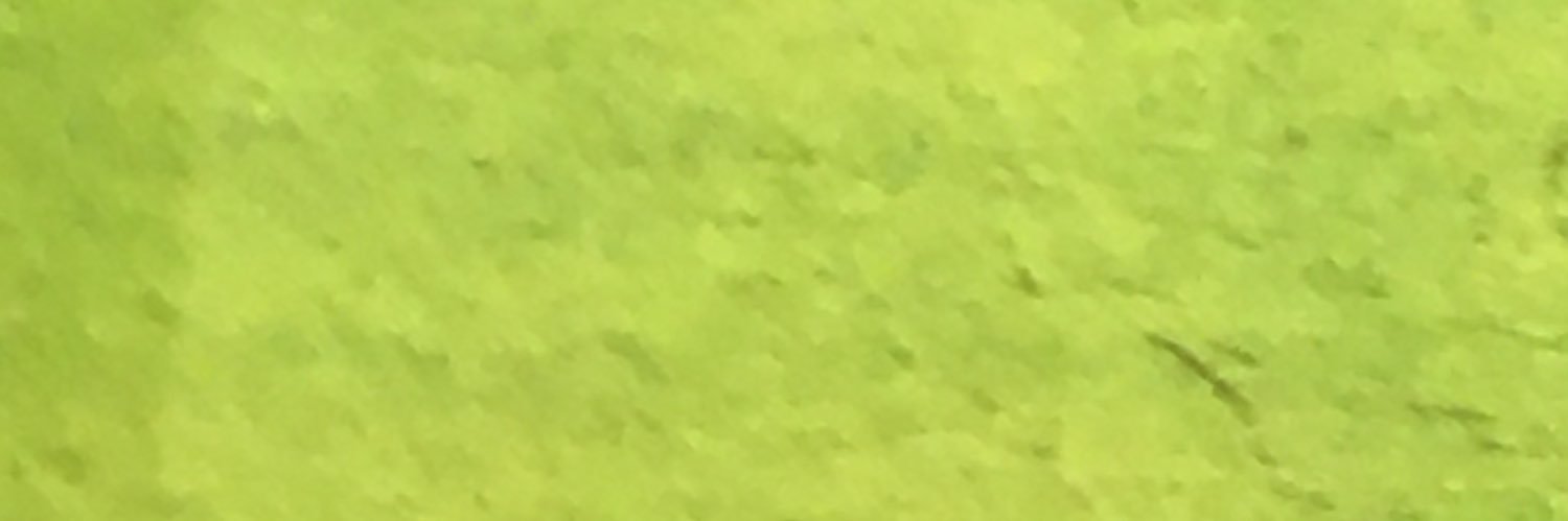 RPisarzak's profile banner image